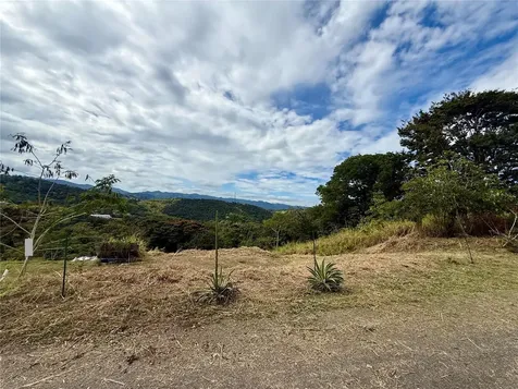Sector Campo Bello Cidra PR 00739