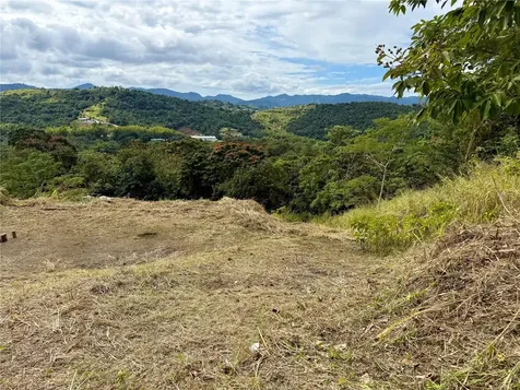 Sector Campo Bello Cidra PR 00739
