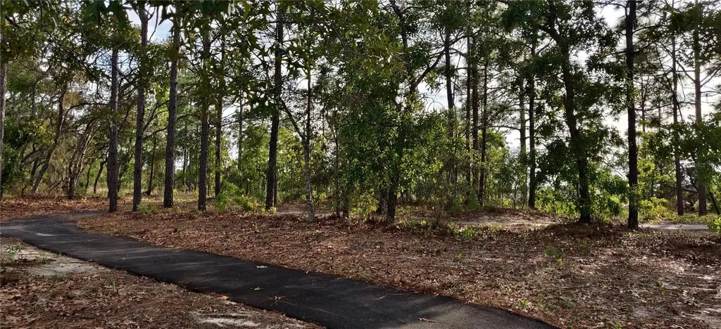 5543 Ocean Breeze Drive Spring Hill FL 34609