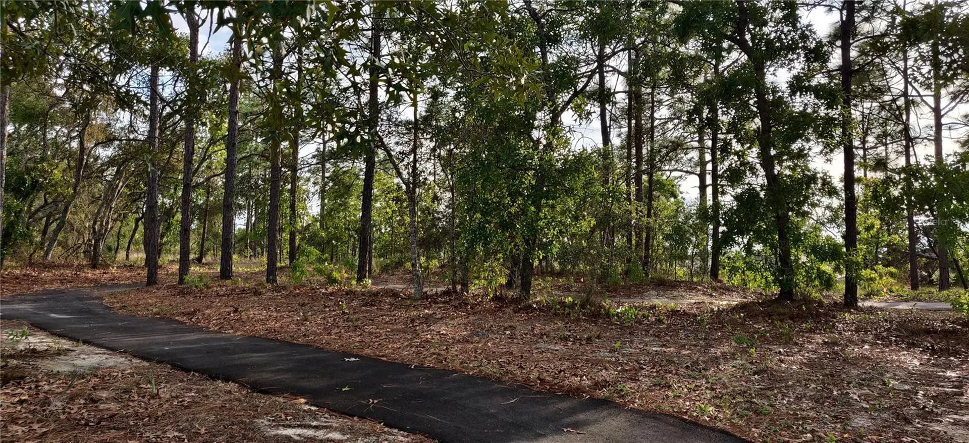 5543 Ocean Breeze Drive Spring Hill FL 34609