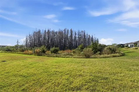 19440 Ship Wheel Way Land O Lakes FL 34638