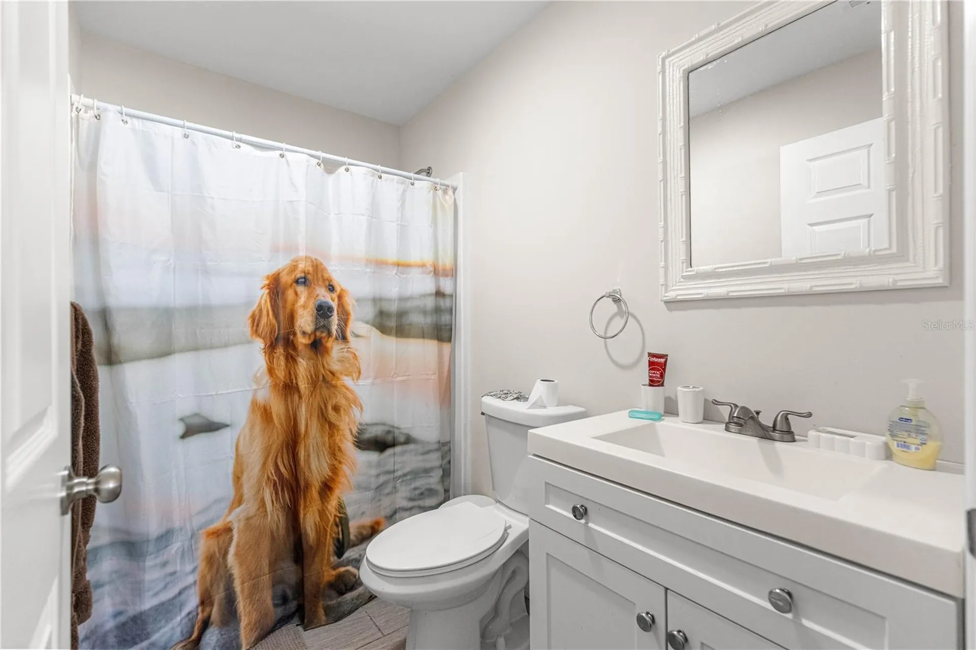 5338 NW 6th Place Ocala FL 34482