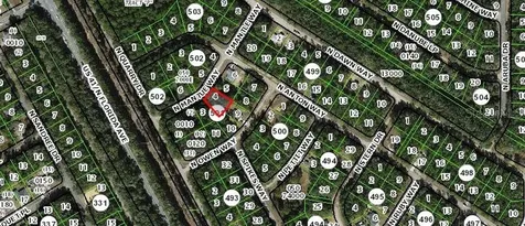 9125 N Mantle Way Dunnellon FL 34434