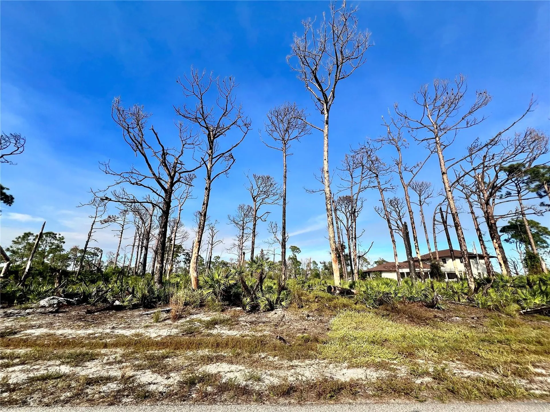 6 Adrift Court Placida FL 33946
