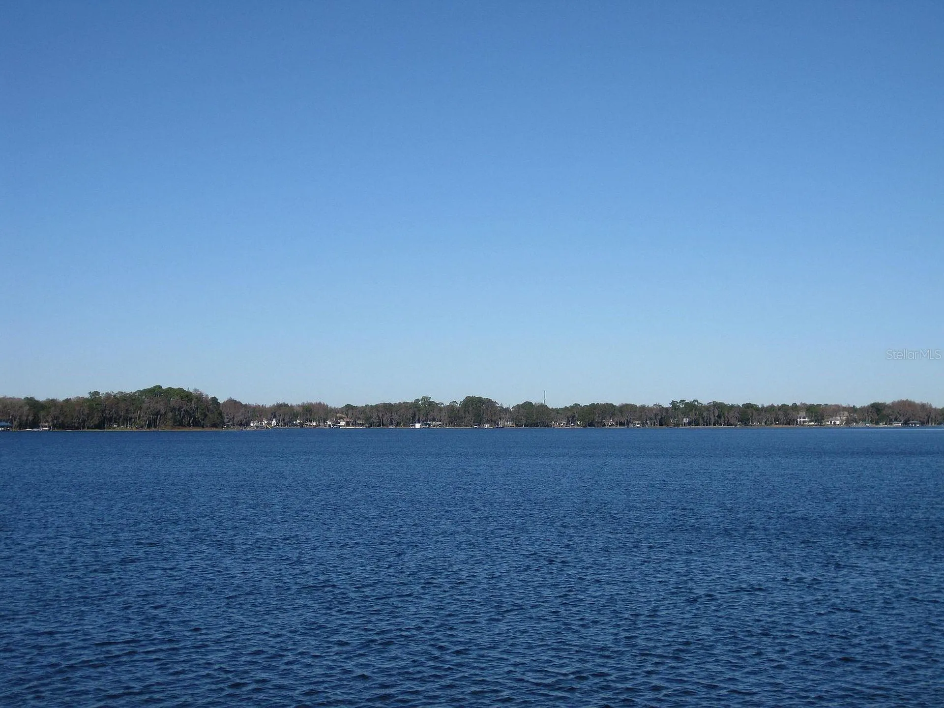 18620 Wayne Road Odessa FL 33556