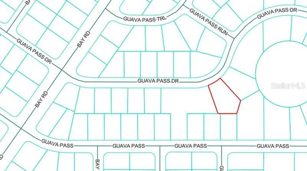 Lot 26 Guava Pass Drive Ocklawaha FL 32179