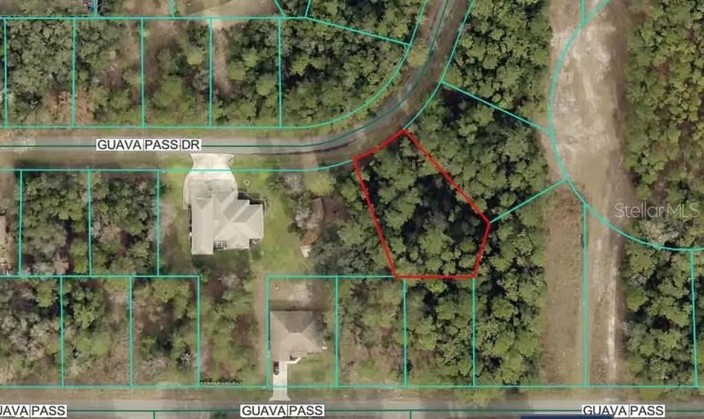 Lot 26 Guava Pass Drive Ocklawaha FL 32179