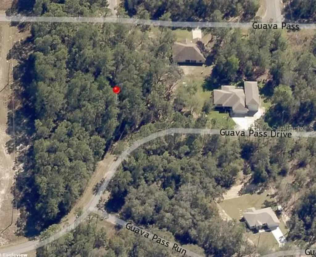 Lot 26 Guava Pass Drive Ocklawaha FL 32179