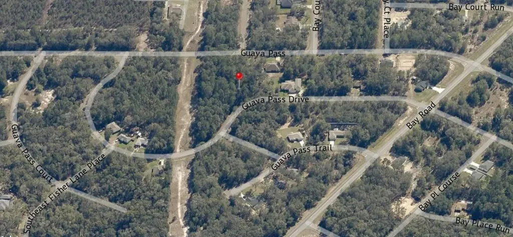 Lot 26 Guava Pass Drive Ocklawaha FL 32179