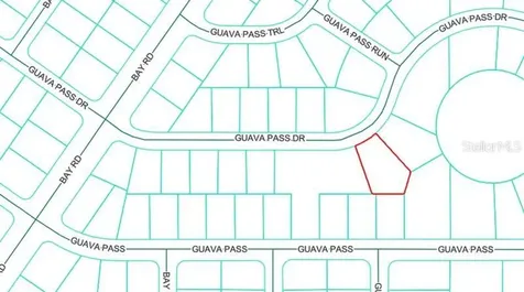 Lot 26 Guava Pass Drive Ocklawaha FL 32179