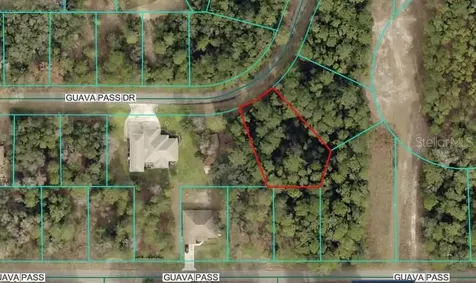 Lot 26 Guava Pass Drive Ocklawaha FL 32179