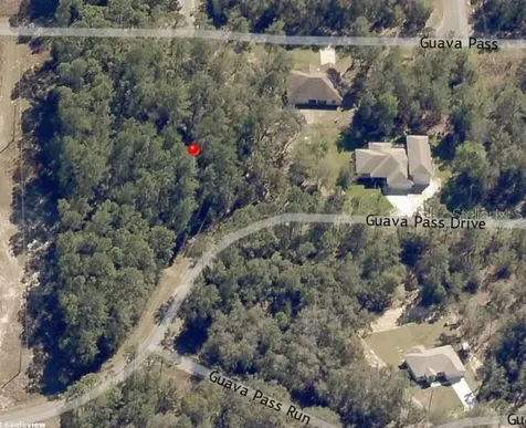 Lot 26 Guava Pass Drive Ocklawaha FL 32179