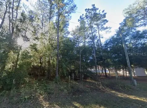 Lot 26 Guava Pass Drive Ocklawaha FL 32179