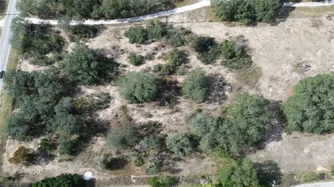 Johnson Avenue E Haines City FL 33844