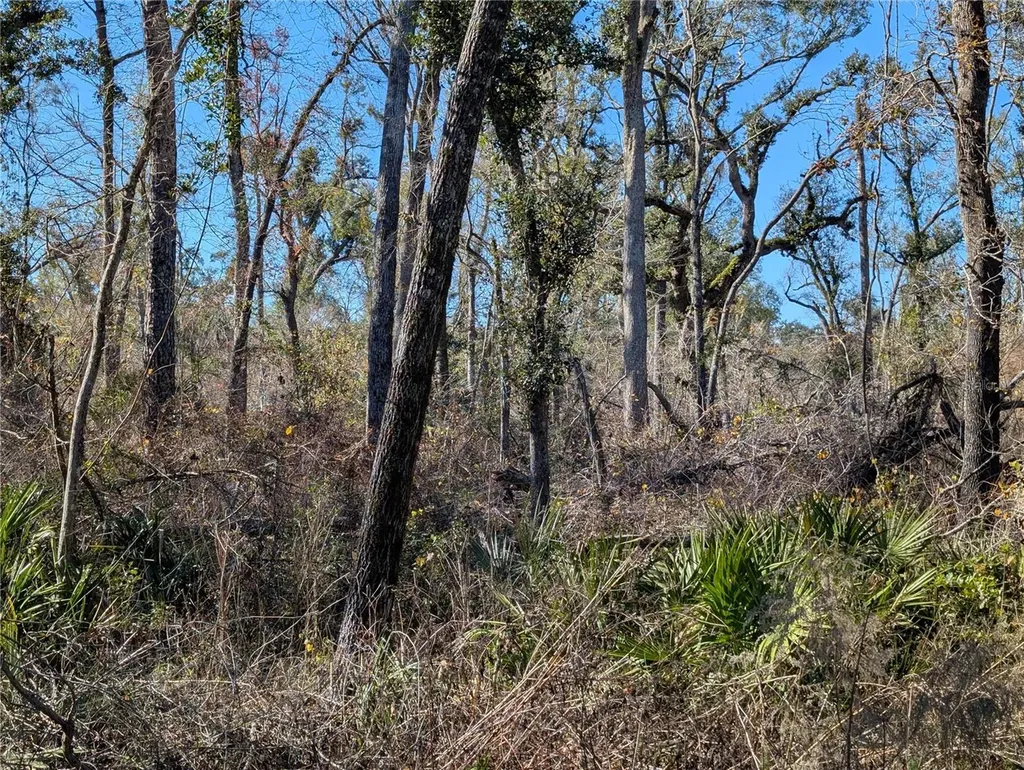 NW Fox Run Trail Mayo FL 32066