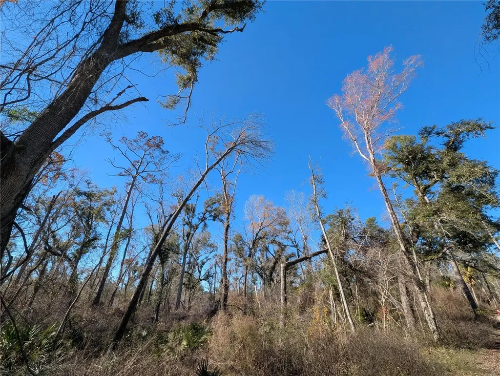 NW Fox Run Trail Mayo FL 32066