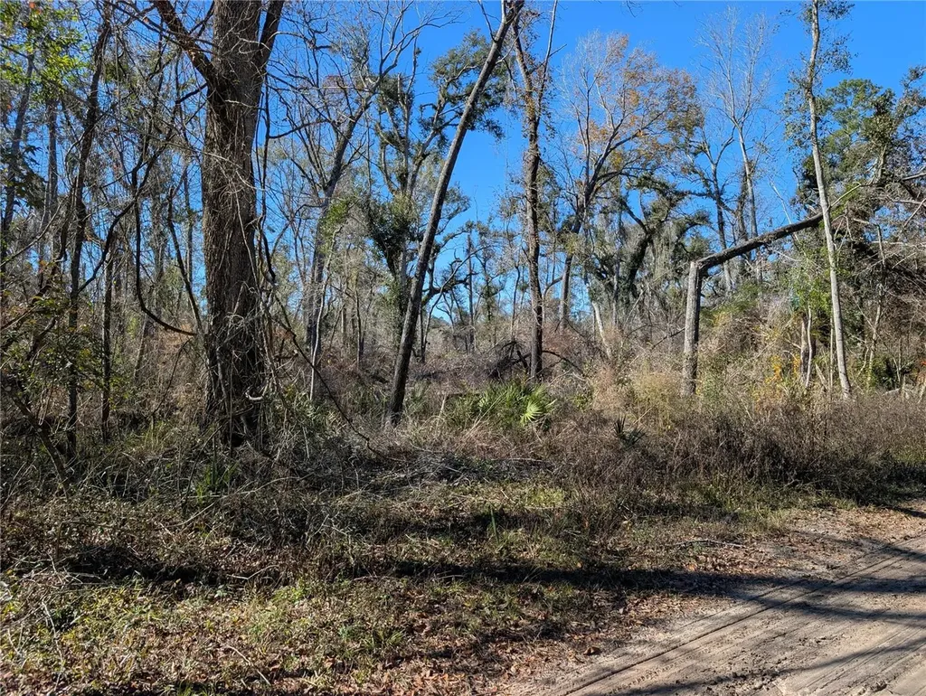 NW Fox Run Trail Mayo FL 32066