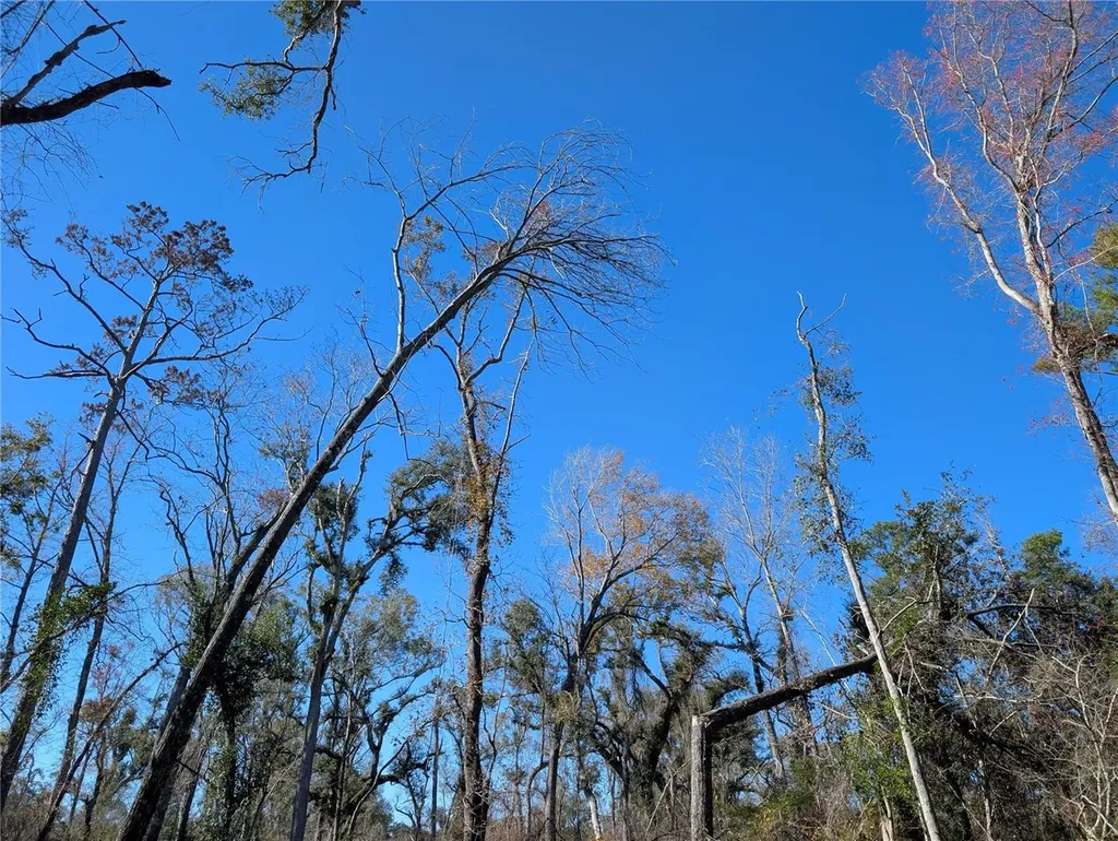 NW Fox Run Trail Mayo FL 32066