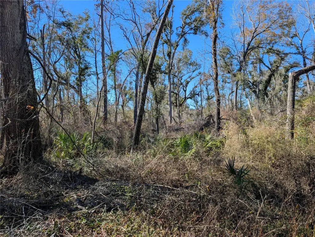 NW Fox Run Trail Mayo FL 32066