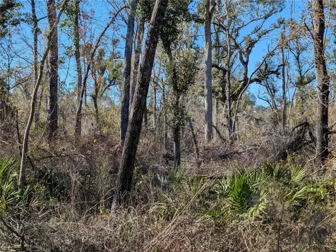 NW Fox Run Trail Mayo FL 32066