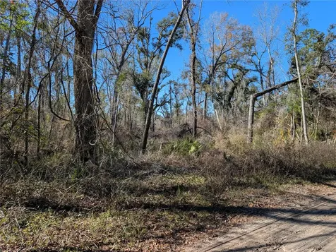 NW Fox Run Trail Mayo FL 32066