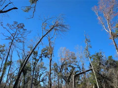 NW Fox Run Trail Mayo FL 32066