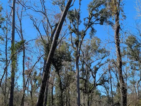 NW Fox Run Trail Mayo FL 32066