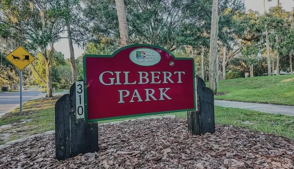 707 Perth Drive Mount Dora FL 32757