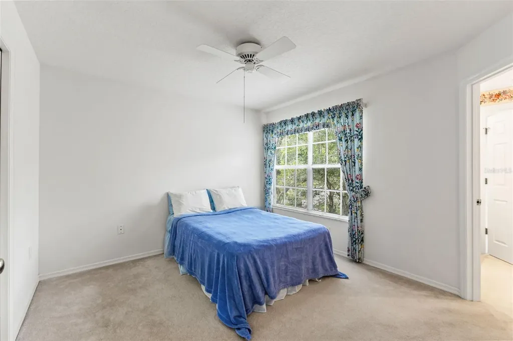 17716 Nathans Drive Tampa FL 33647