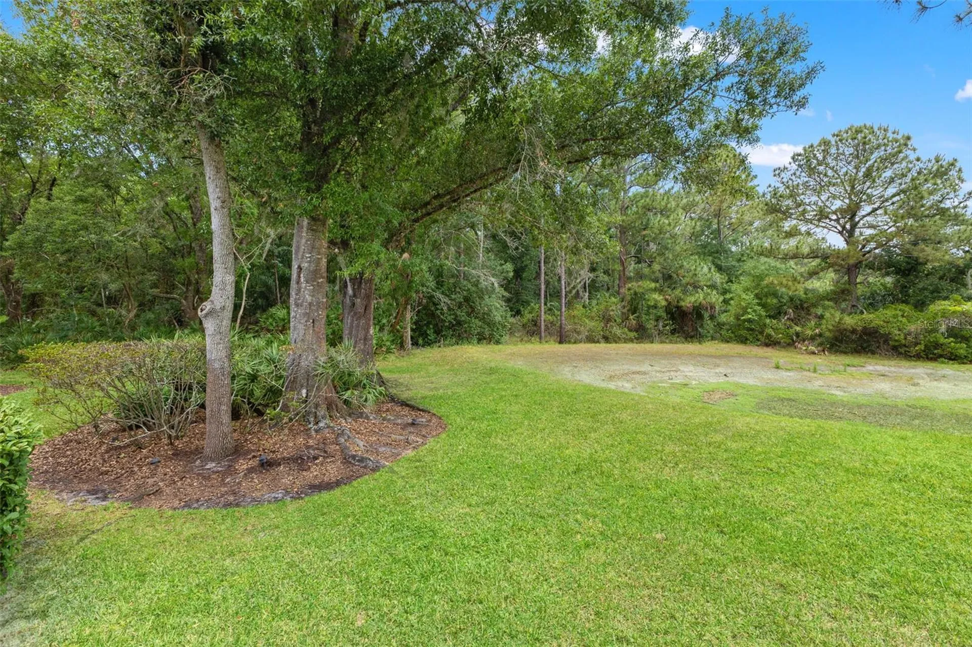 17716 Nathans Drive Tampa FL 33647