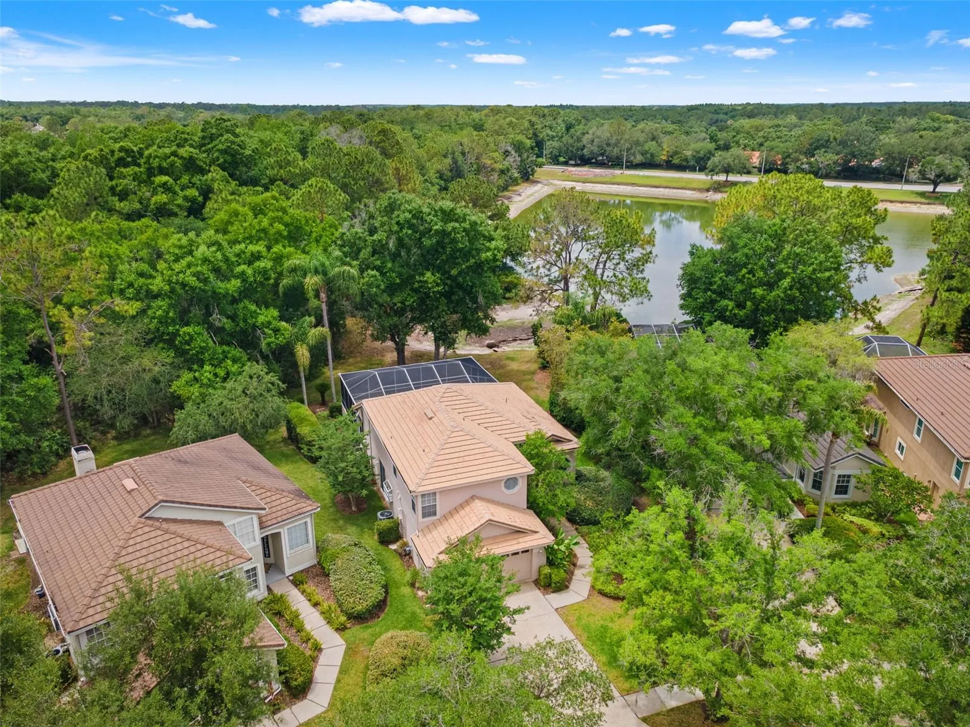 17716 Nathans Drive Tampa FL 33647