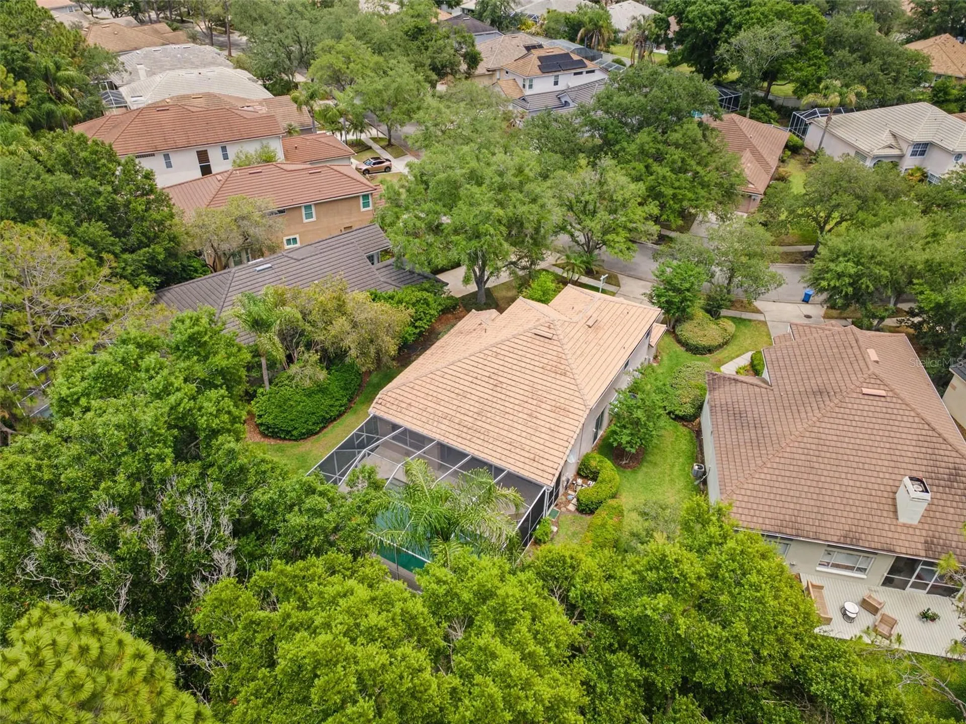17716 Nathans Drive Tampa FL 33647