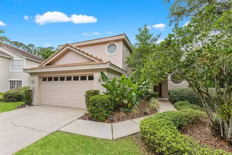 17716 Nathans Drive Tampa FL 33647