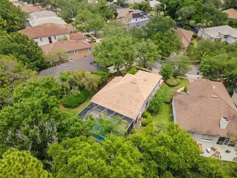 17716 Nathans Drive Tampa FL 33647