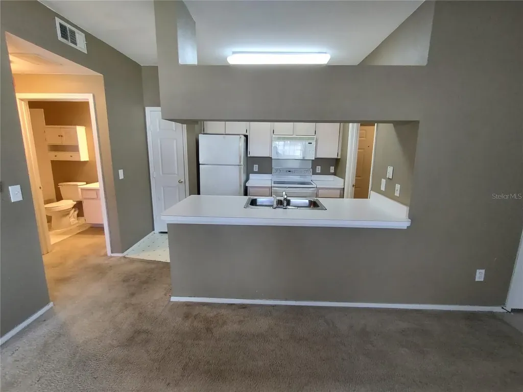 13005 Sanctuary Cove Drive Temple Terrace FL 33637