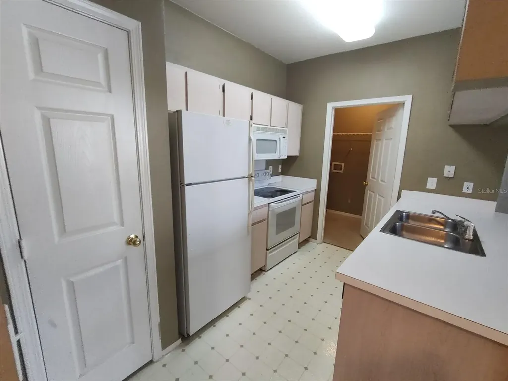 13005 Sanctuary Cove Drive Temple Terrace FL 33637