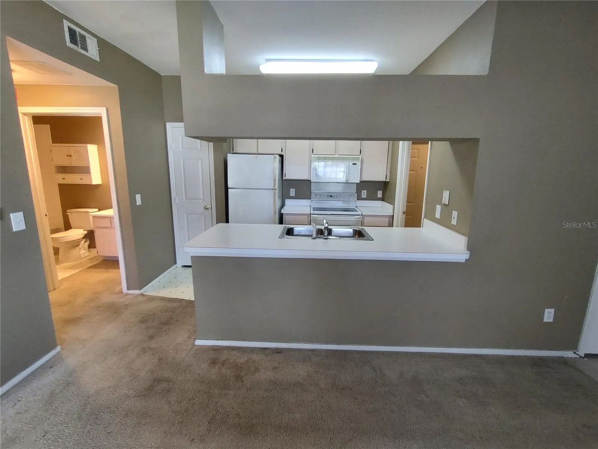 13005 Sanctuary Cove Drive Temple Terrace FL 33637