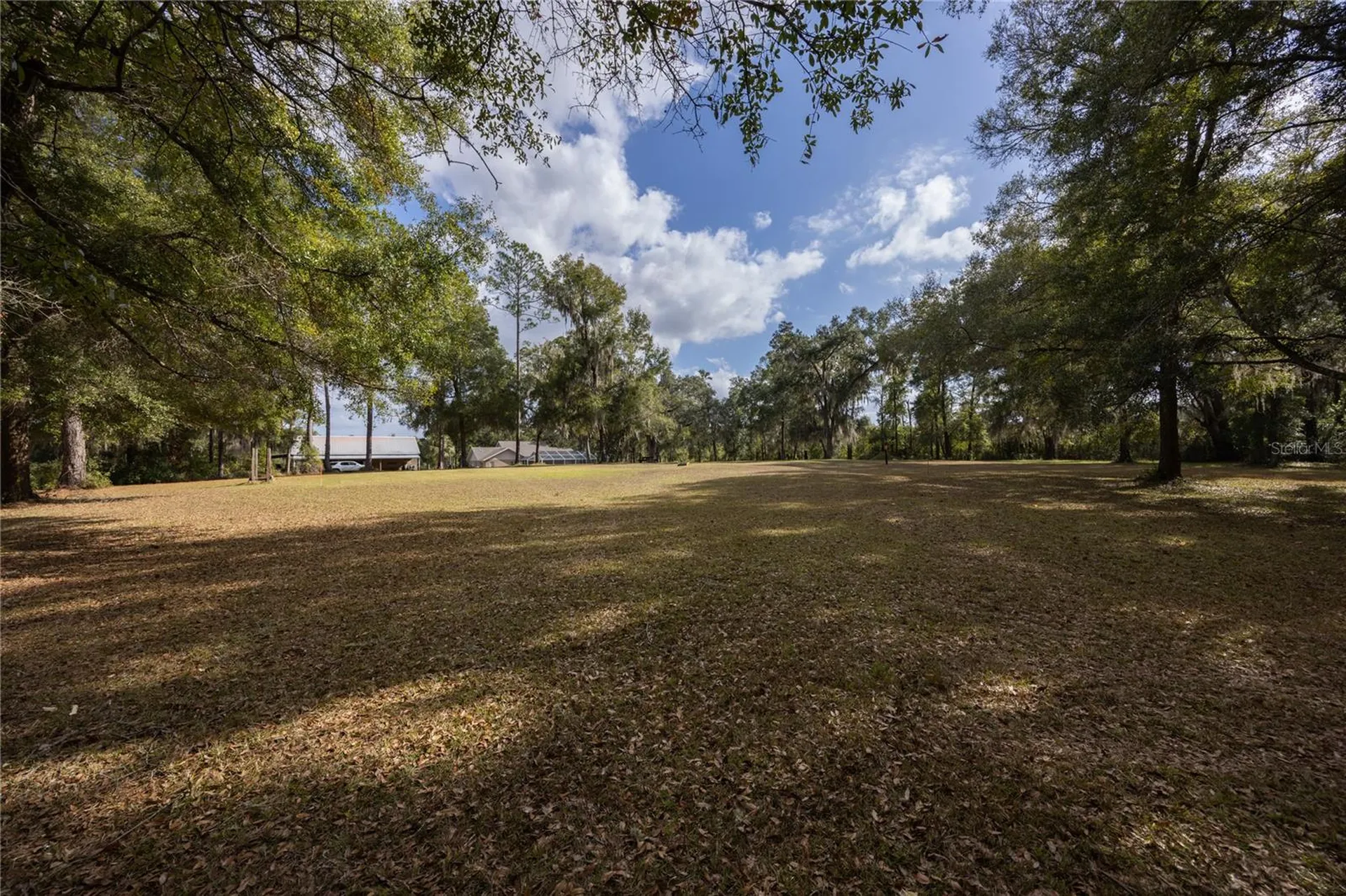 5250 NE 160th Avenue Williston FL 32696