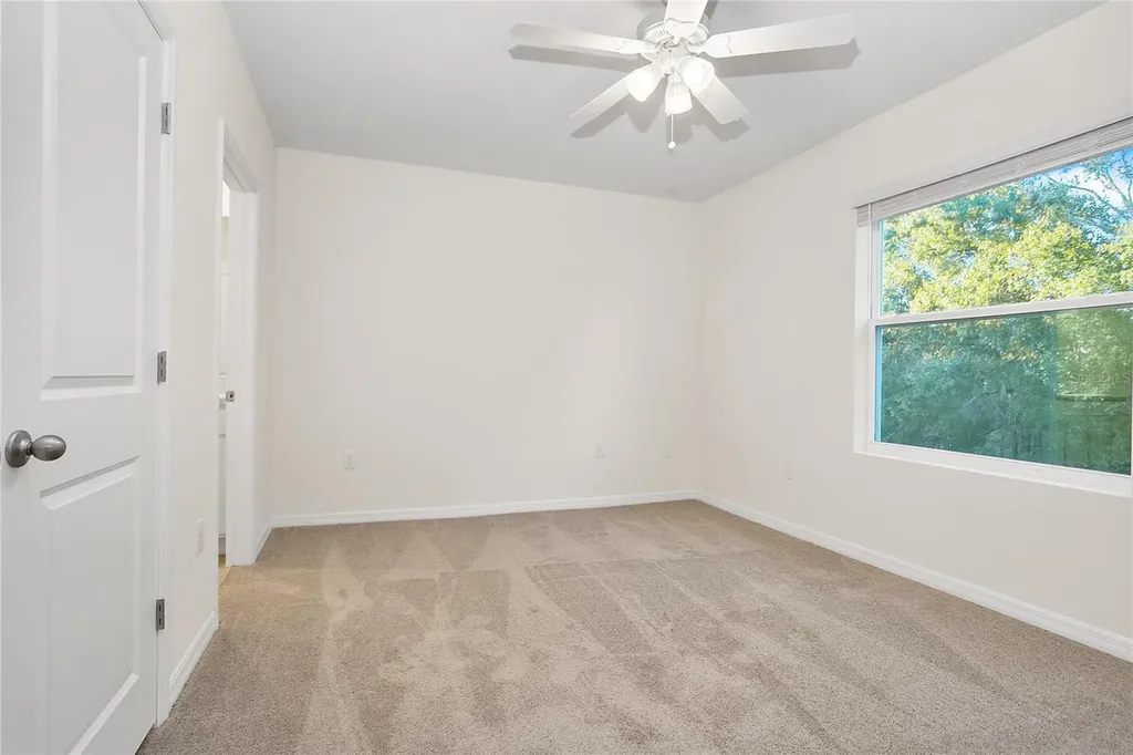 32859 Pez Landing Lane Wesley Chapel FL 33543