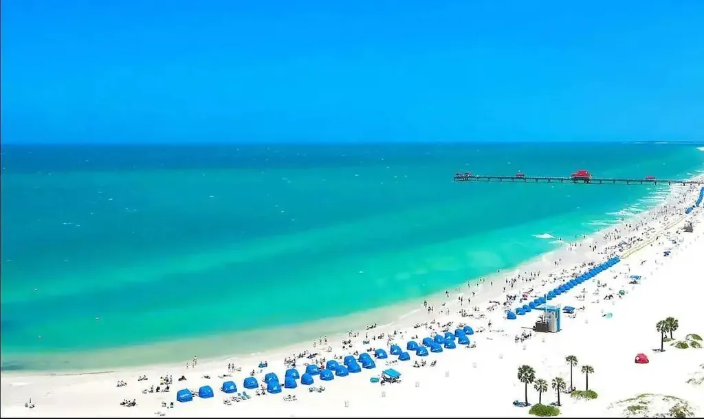 1002 Vine Avenue Clearwater FL 33755