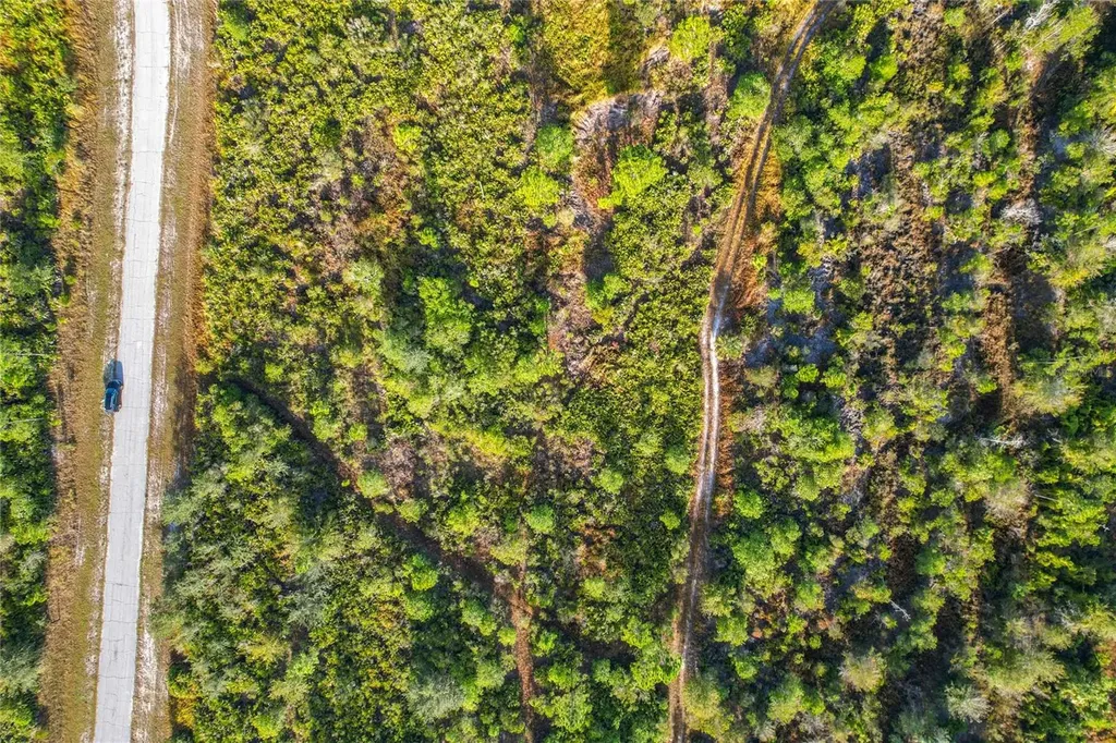 Lot 81 Meadow Lark Boulevard Lake Wales FL 33898