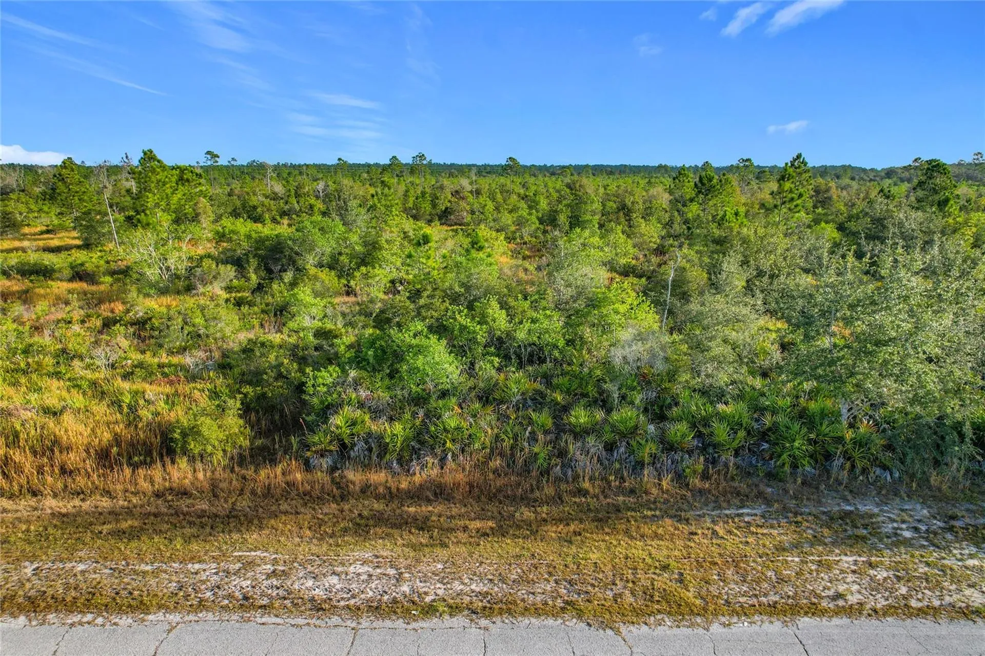 Lot 81 Meadow Lark Boulevard Lake Wales FL 33898