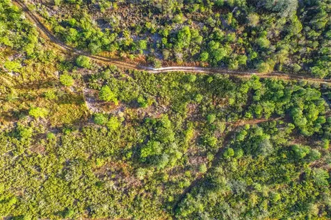 Lot 81 Meadow Lark Boulevard Lake Wales FL 33898