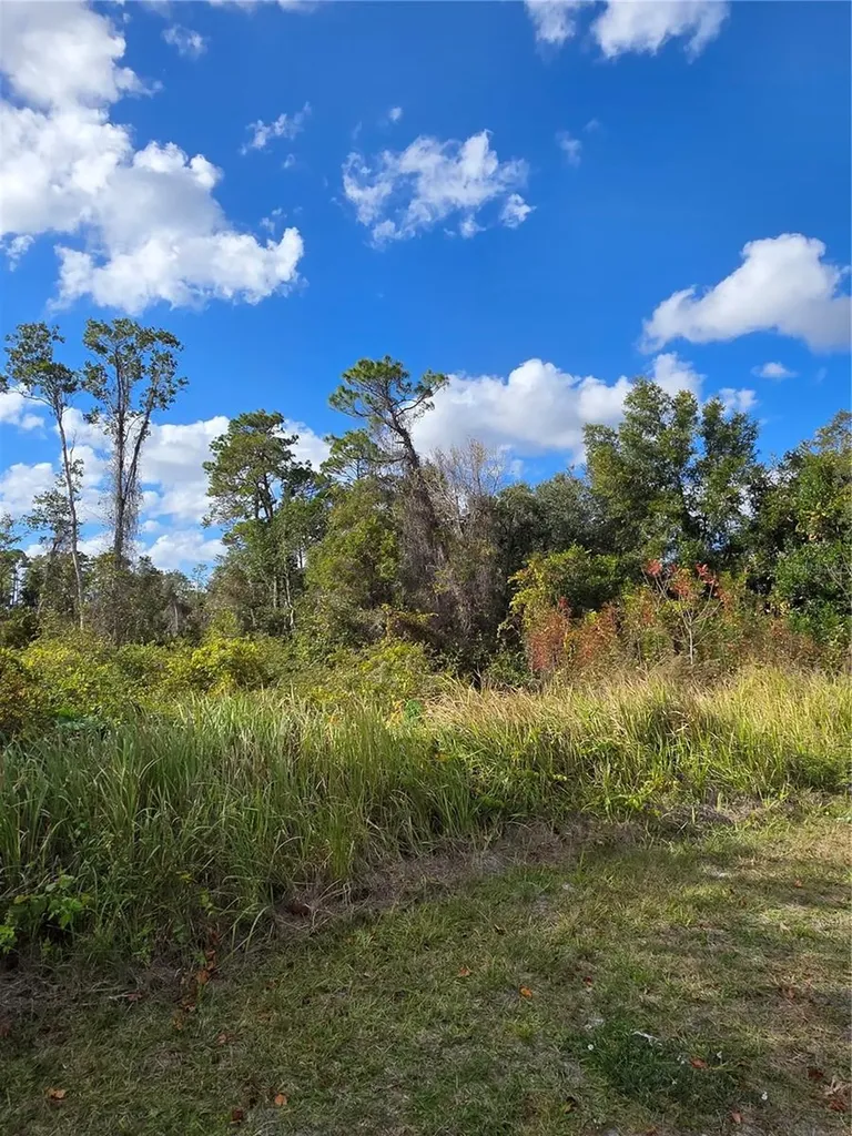 520 W Kingway Drive Deltona FL 32725