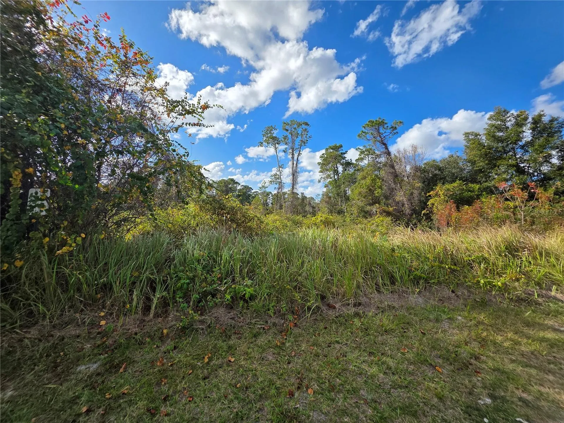 520 W Kingway Drive Deltona FL 32725
