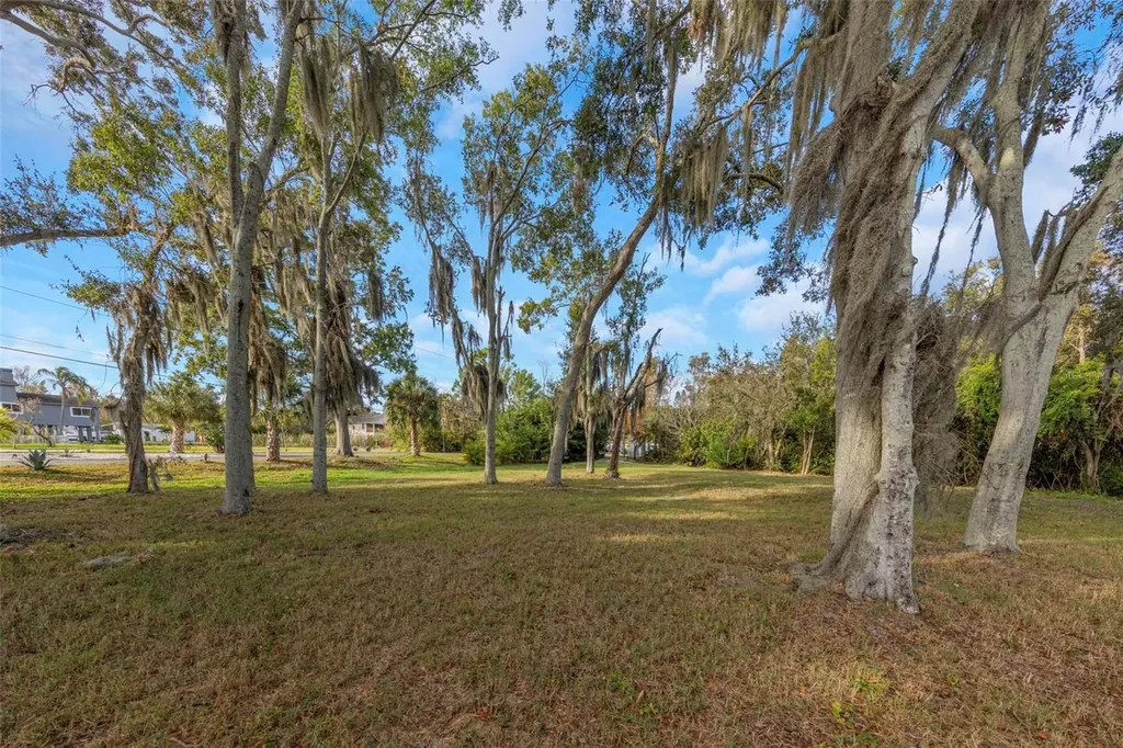 2661 Cyprus Drive Palm Harbor FL 34684