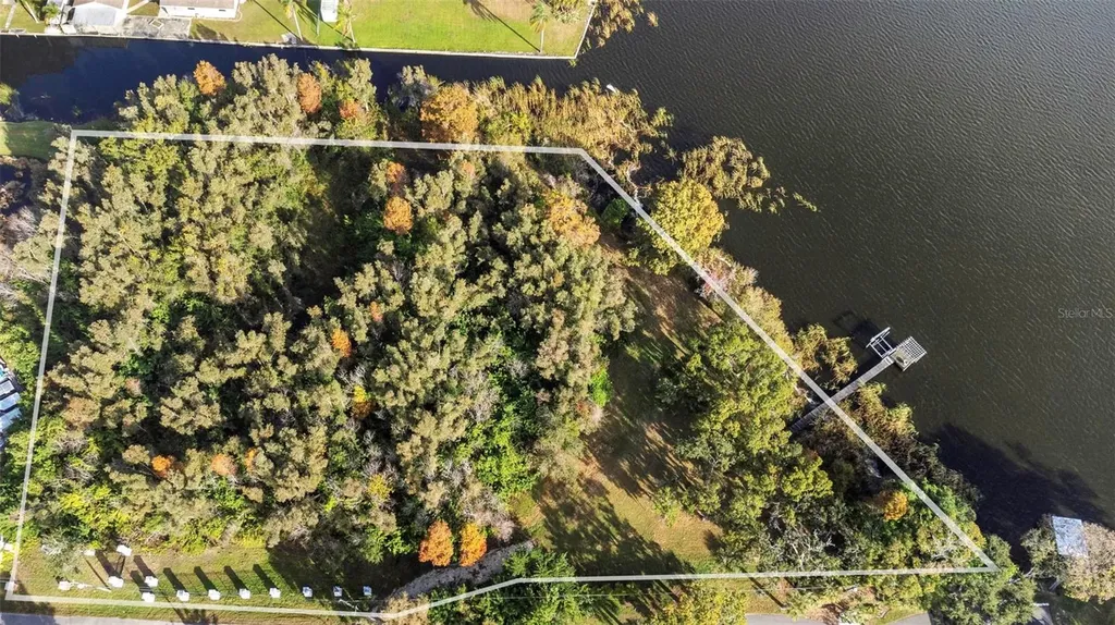 2661 Cyprus Drive Palm Harbor FL 34684