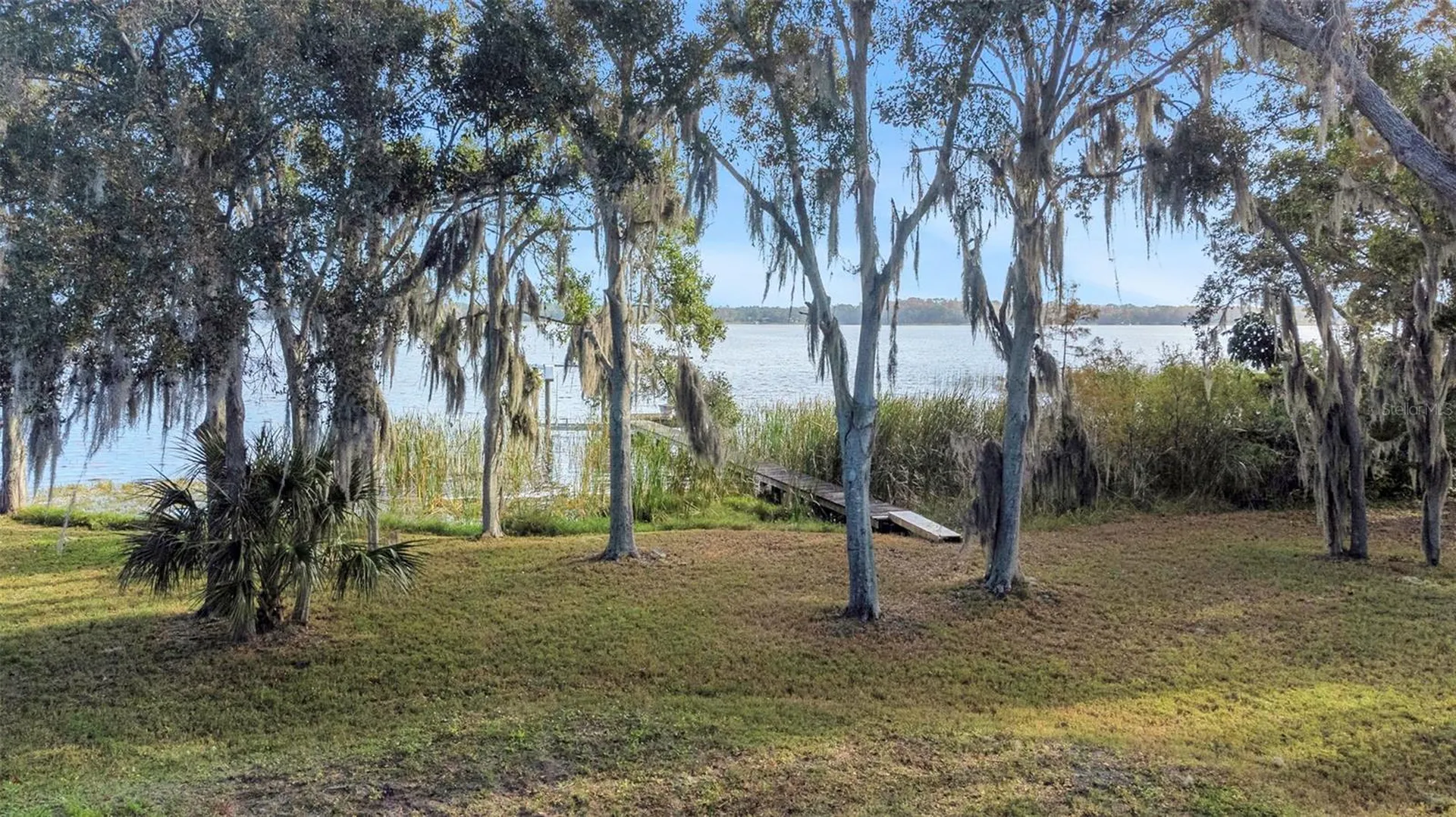 2661 Cyprus Drive Palm Harbor FL 34684