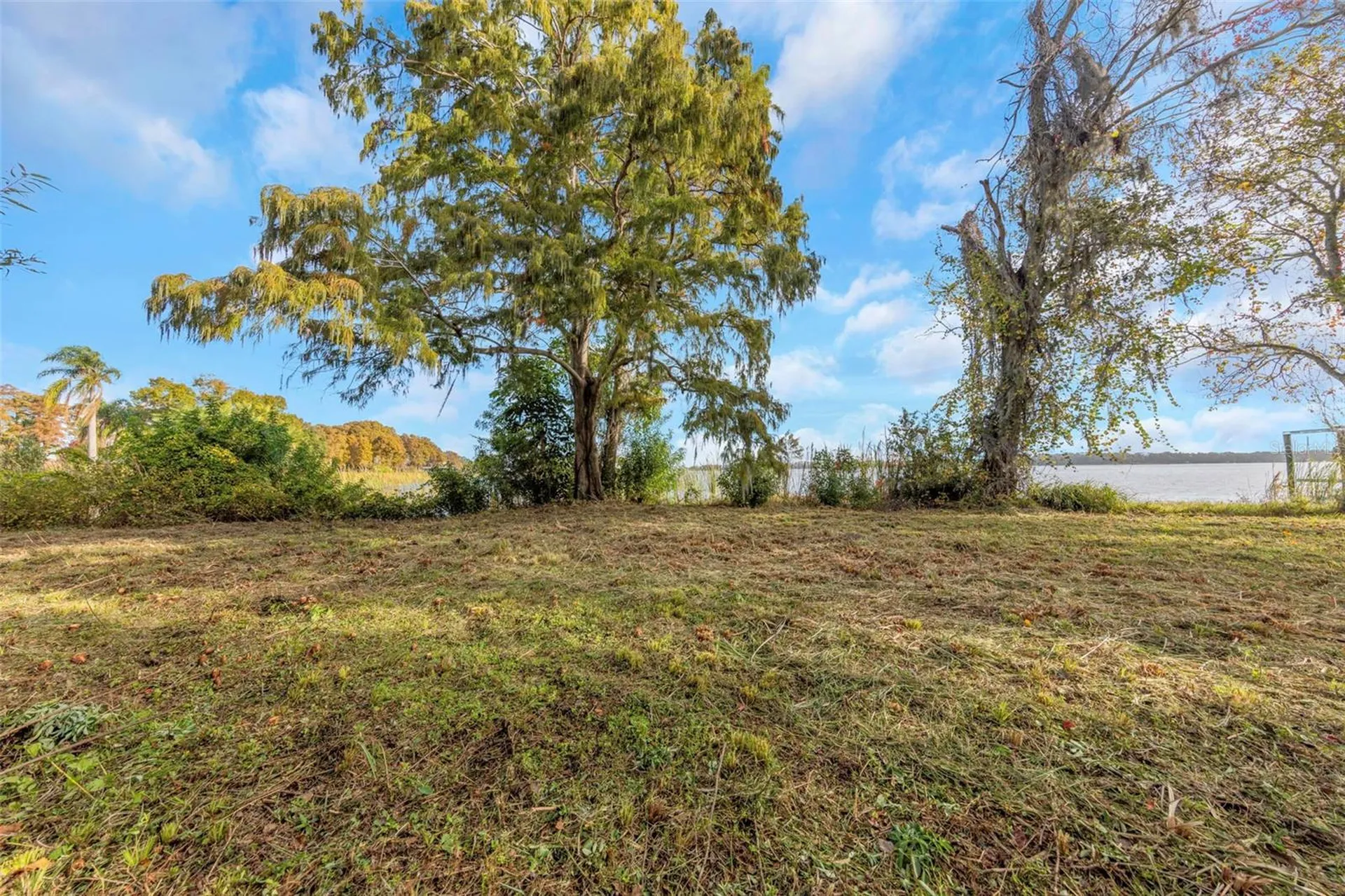 2661 Cyprus Drive Palm Harbor FL 34684