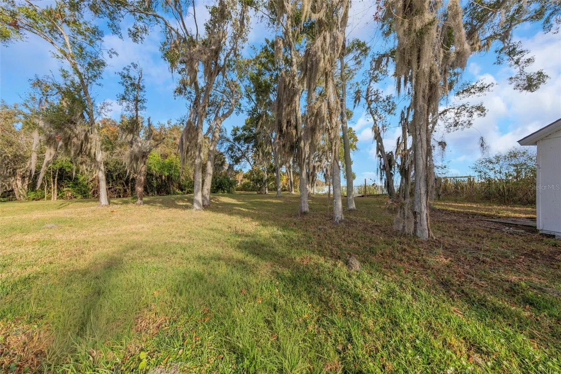 2661 Cyprus Drive Palm Harbor FL 34684